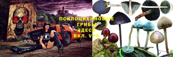 apvp Нягань
