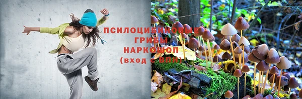 наркотики Няндома